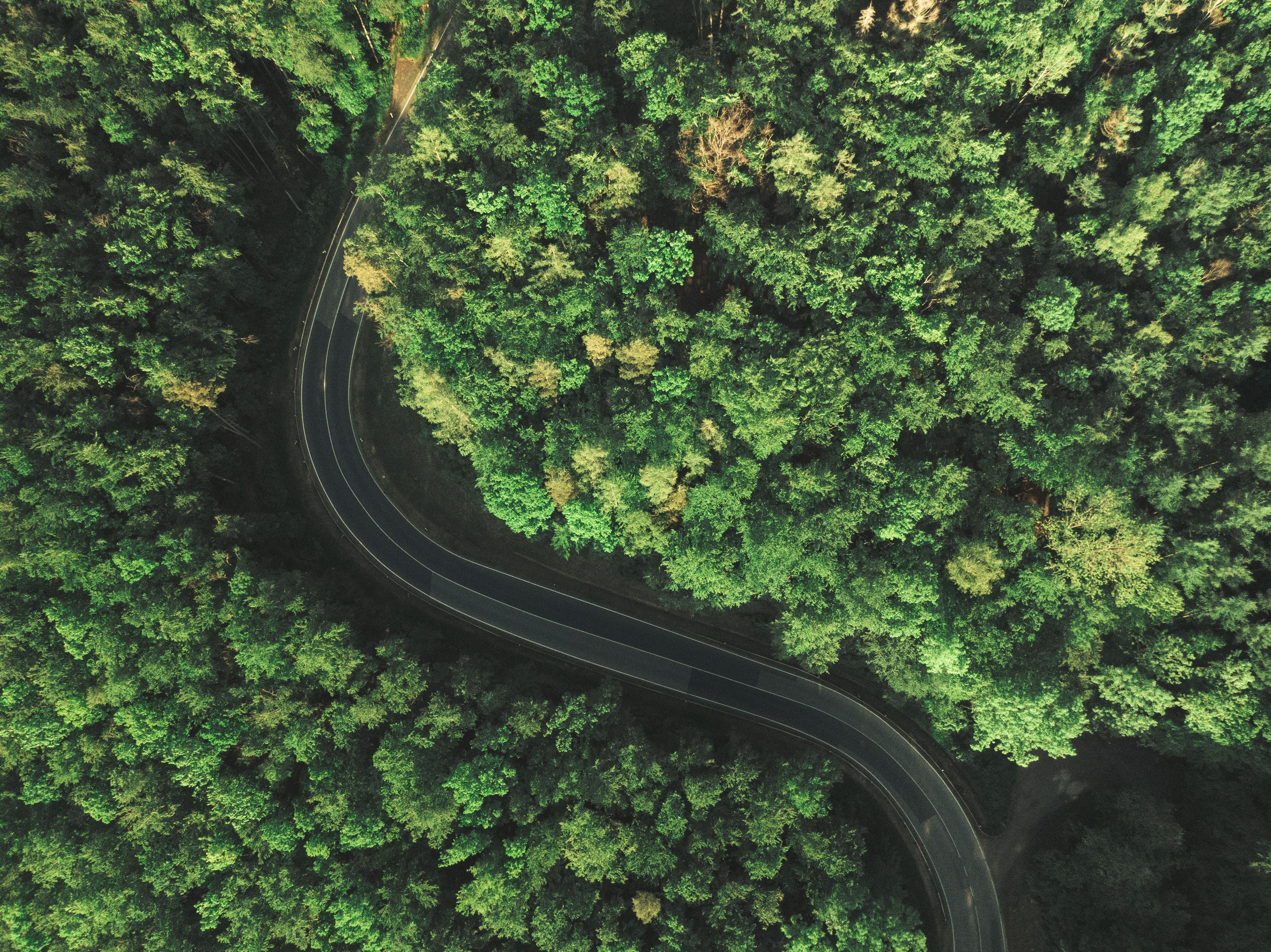 Colombia’s Government issued green road infrastructure guidelines