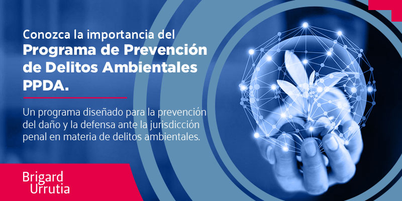 Conozca la importancia del Programa de Prevención de Delitos Ambientales PPDA
