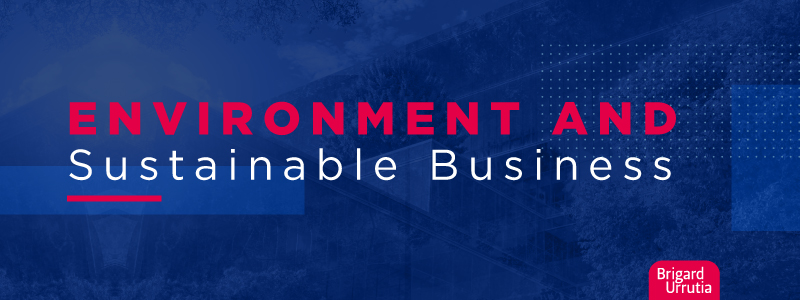 Environment and Sustainable Business 