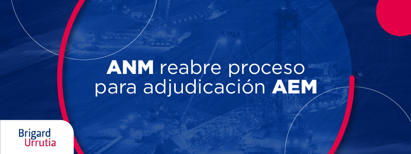 ANM reabre proceso para adjudicación AEM