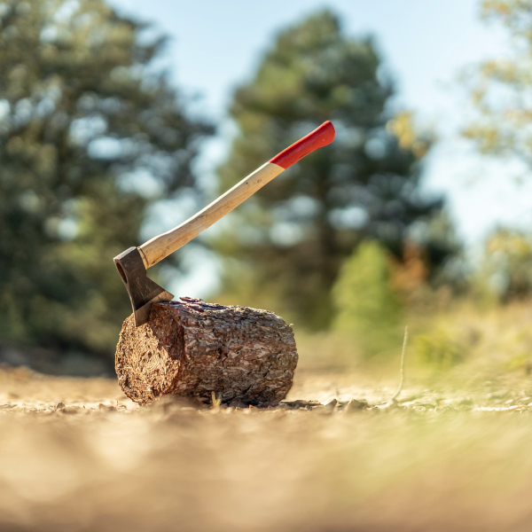 UE contra la deforestación