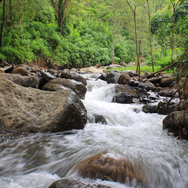 Proceso Sancionatorio Ambiental