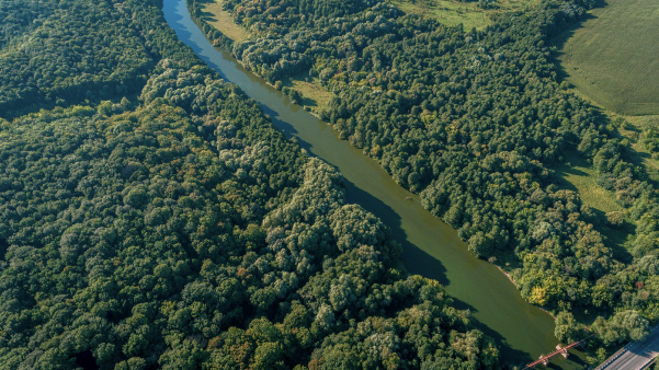 01. Proceso Sancionatorio Ambiental