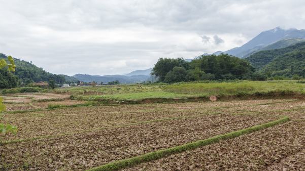 03. Zonas de Reserva Campesina